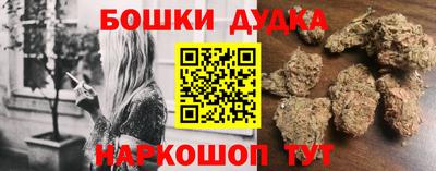 apvp Тулун