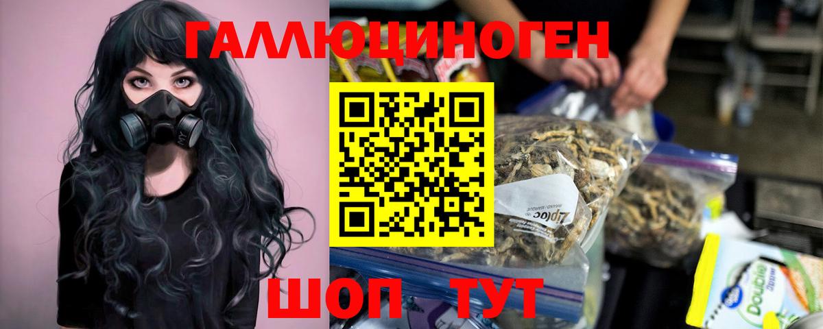 Галлюциногенные грибы Cubensis  Псилоцибиновые грибы MAGIC MUSHROOMS  Вход с VPN  Благодарный 